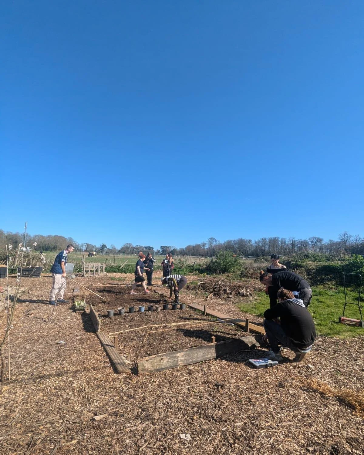 Can you spare 20 mins a week to water the TPPTG Kitchen Garden and listen to the birds? 

An email will be going out soon to all of our volunteers asking if you'd like to chip in for watering duties as the weather improves. This is an easy but vital 