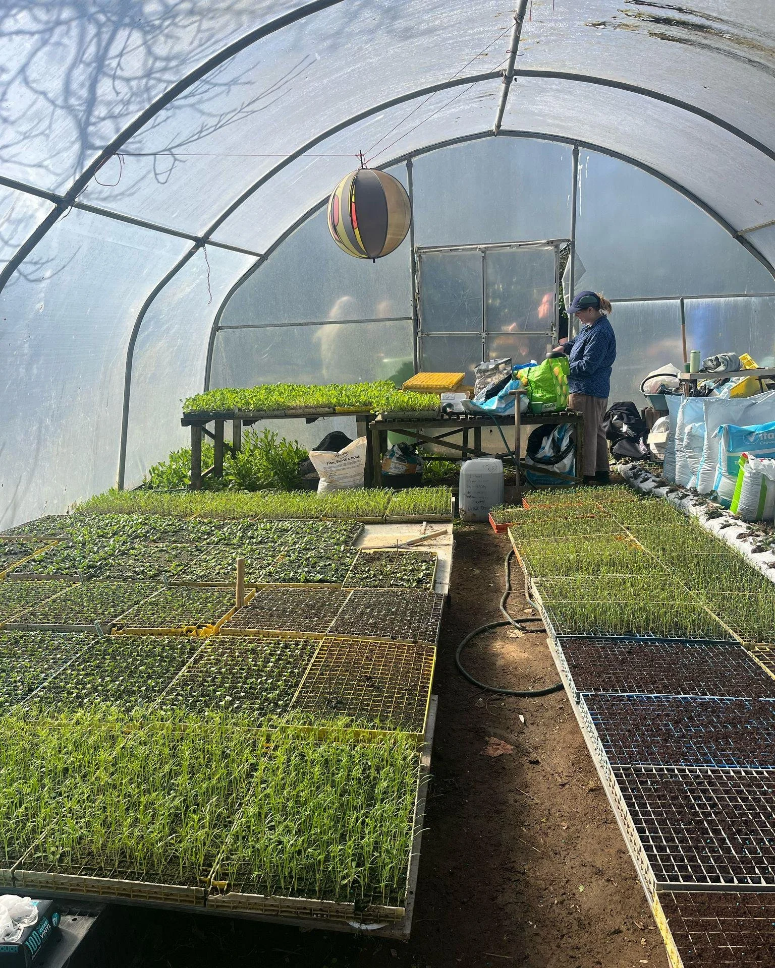 WE NEED YOUR HELP!

~~ Help us keep the Kitchen Garden alive this Spring by volunteering an hour of your time every week! ~~

We've made a lot of progress at The Perfect Place to Grow's Kitchen Garden over the last 18 months. Trainees and Volunteers 