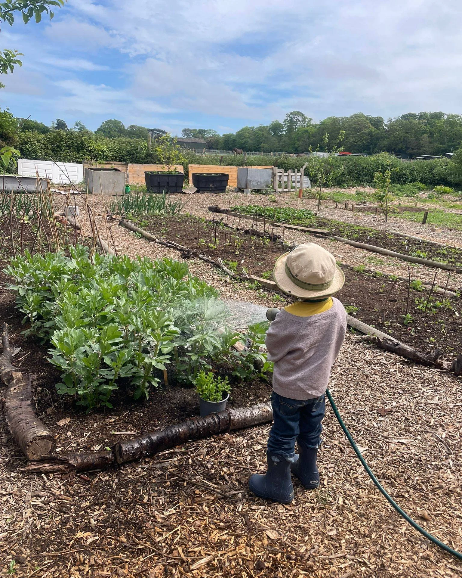 Kitchen Garden roll call! 

Fancy a bit of time outdoors? Come to our Kitchen Garden drop in sessions every Wednesday from 10am - 2pm.

Joshua - our garden lead, is always on the look out for enthusiastic volunteers to help tend to TPPTG green space.