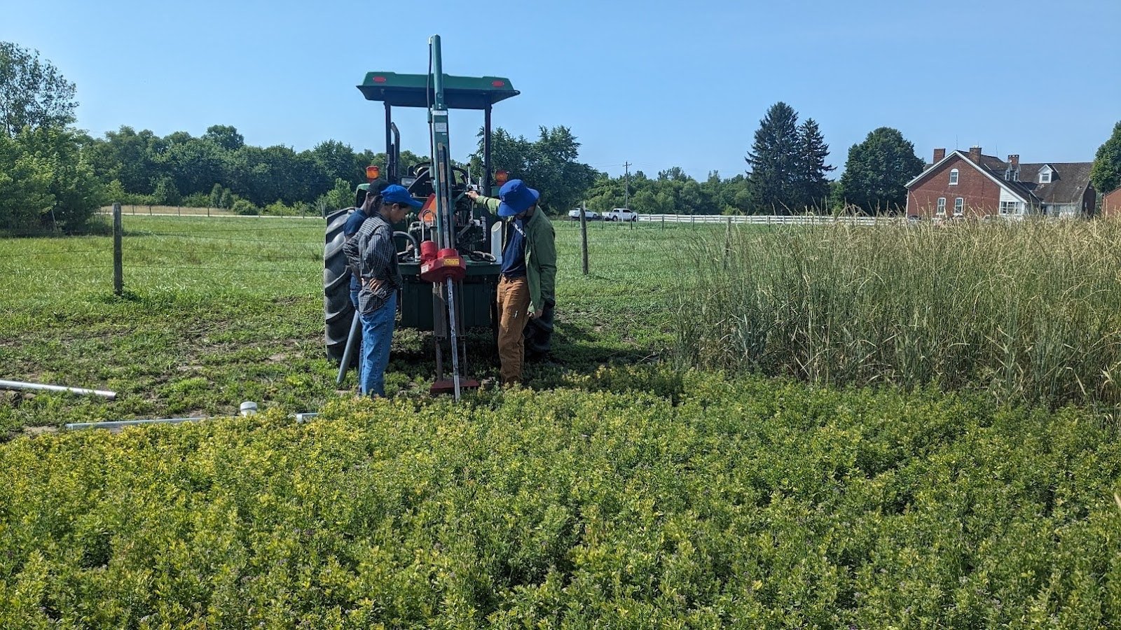  Installing minirhizotron tubes in an alfalfa plot 