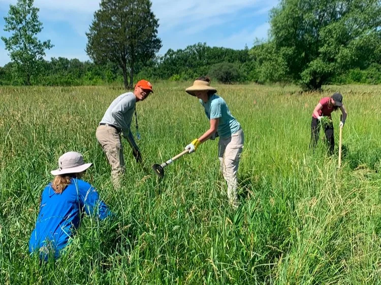  Weeding an experimental plot 