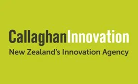 construction project managers