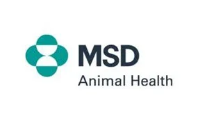 construction project managers