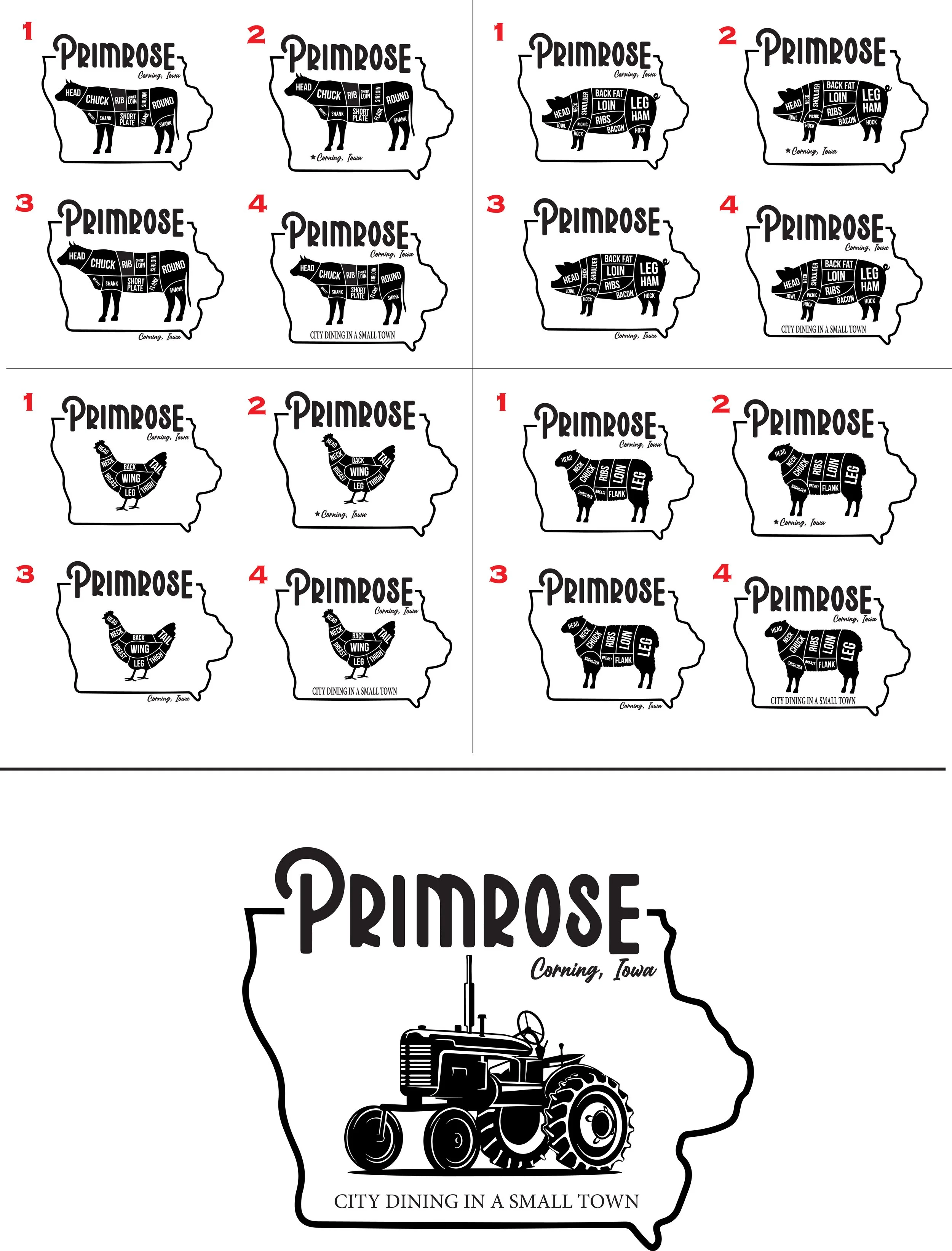 PrimroseShirtDesigns.jpg