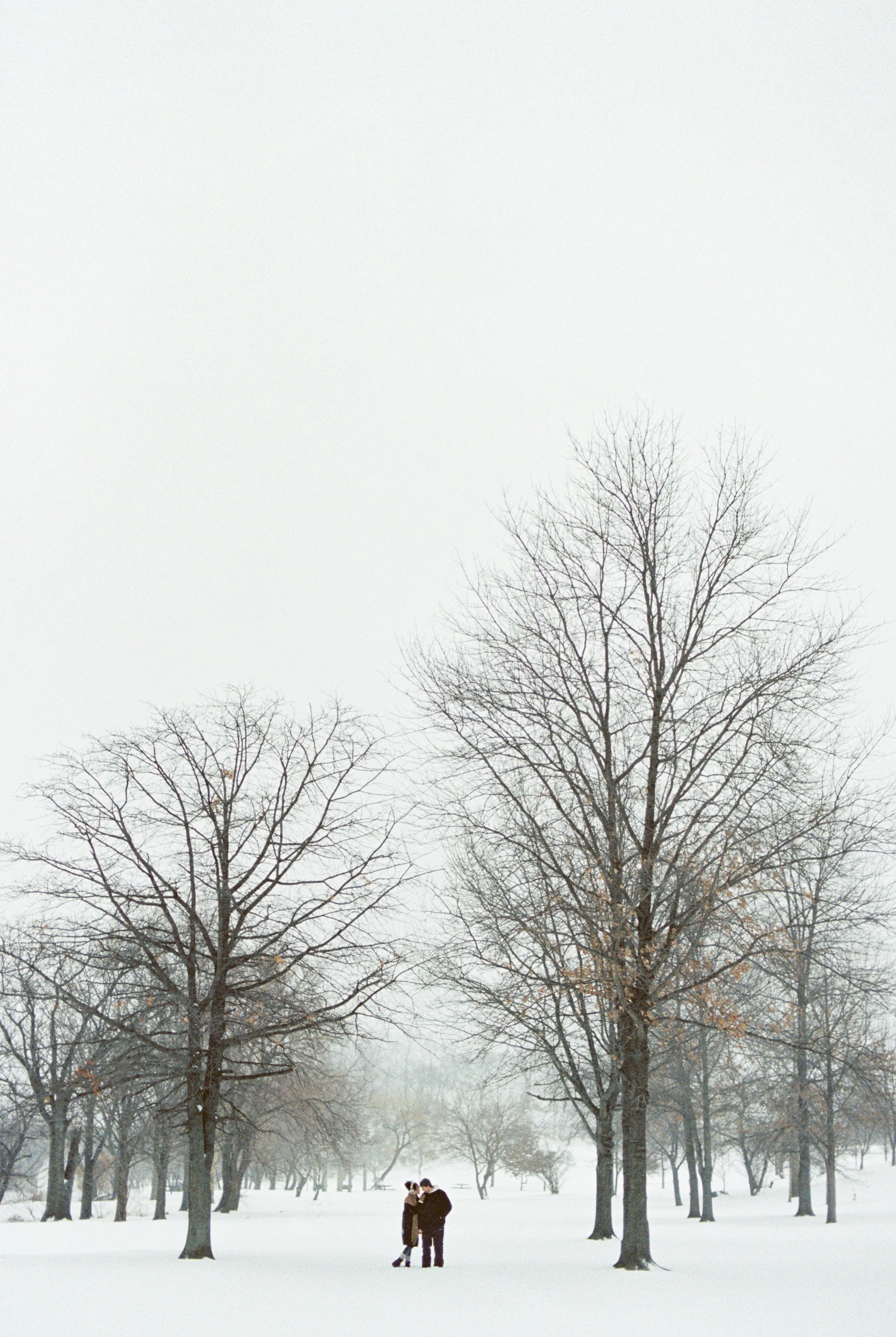44760_23.jpg