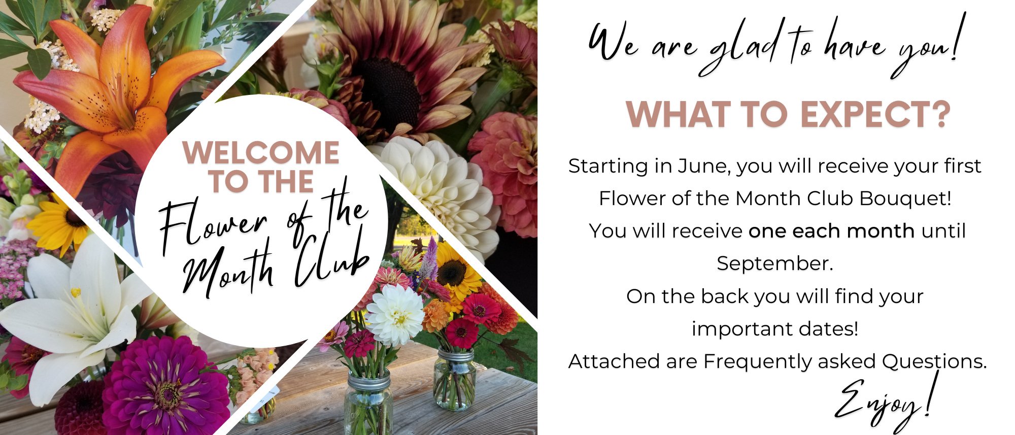 Flower+of+the+Month++welcome+-+front.jpg