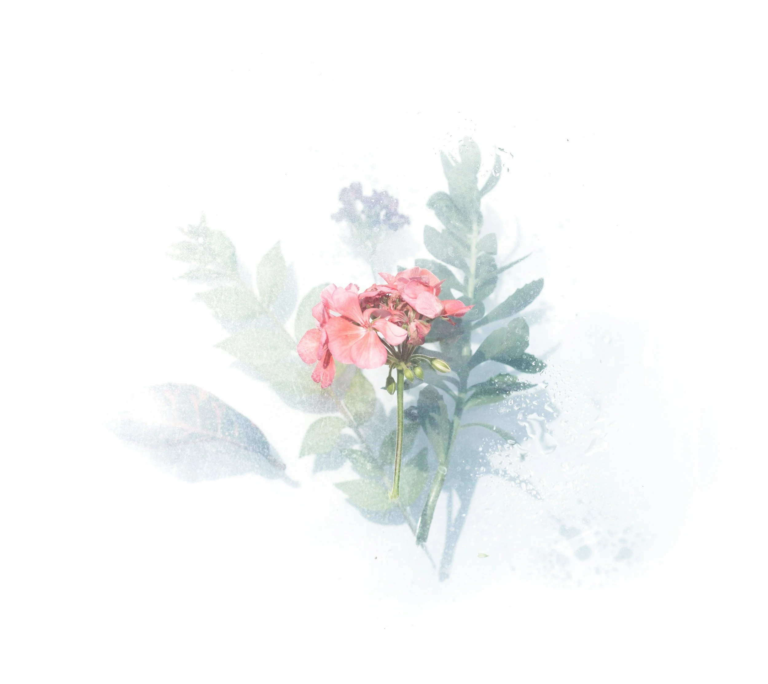 Worship & Watercolor