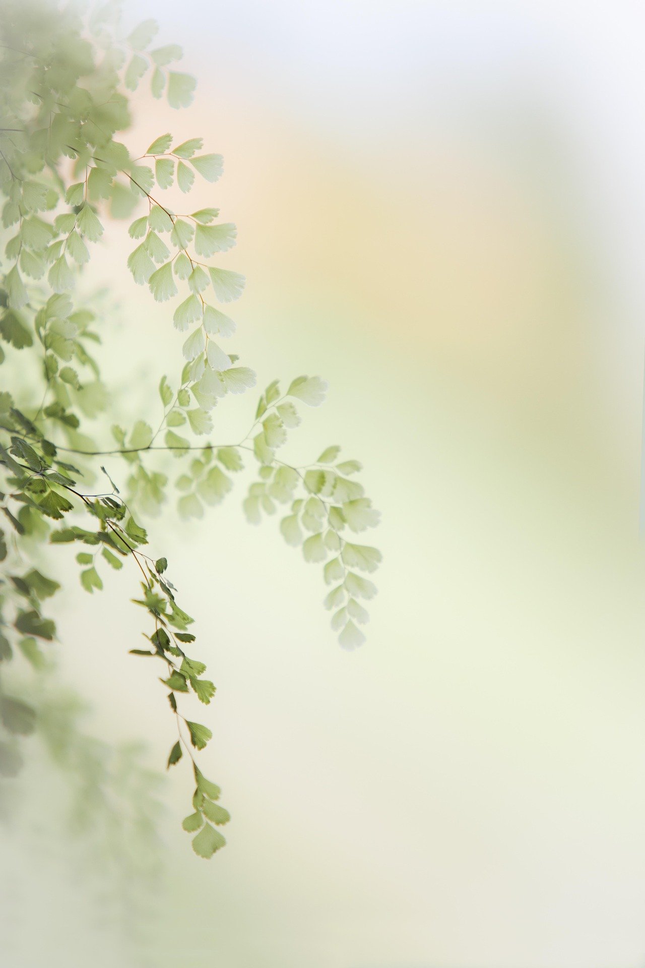 mental health support - take care of your well-being