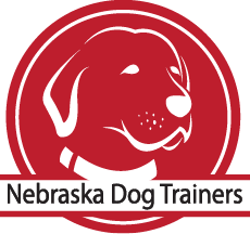 NE Dog Trainers