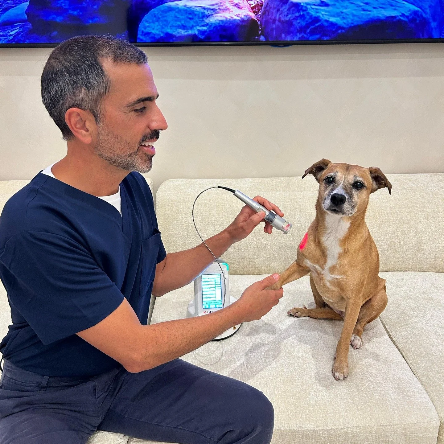 Let’s make wellness personal. 🌿
Your pet’s journey to optimal health starts with a one-on-one wellness consultation. 
Our Wellness Director will craft a customized plan just for them — because no two pets are alike! 🐶🐱💫
✨ Sche