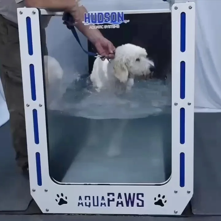 Making a splash—the new AquaPaws underwater treadmill at @wavehamptons ! A great option for pets who need physical therapy, want to rebuild muscle strength post-op, lose weight or reduce anxiety through hydrotherapy. Just another day at the dog