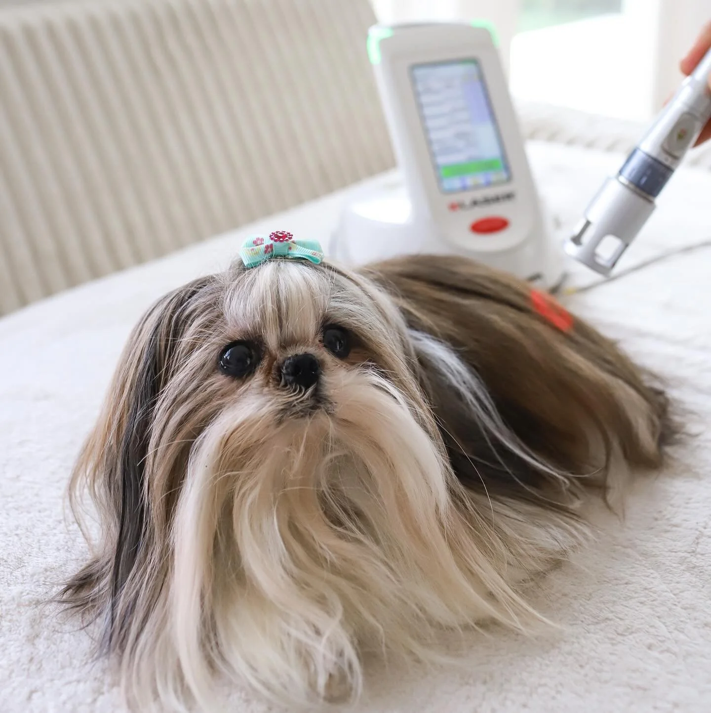 Special Introductory Pet Wellness Offer! 🎉 
Book an appointment for a wellness consultation for your pet ($100) tomorrow, 10/30, 10am-2pm, at Wave Veterinary Emergency and Wellness Center (1054 Montauk Highway in Water Mill, 631.825.9283). 
You&rs