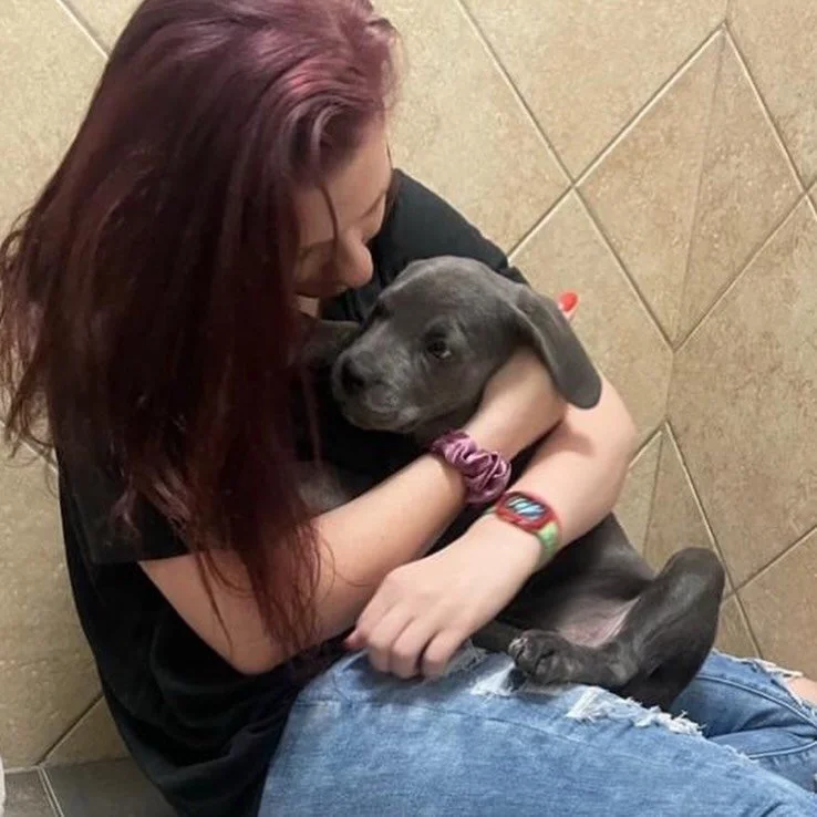 No one customizes physical therapy plans for animals like Steph Fitzgerald. 🐾 🌊 🐶 🐱 

As Lead Wellness Veterinary Technician at Wave, rehab is her passion &mdash; and she&rsquo;s on track to become a Veterinary Technician Specialist in Physical T