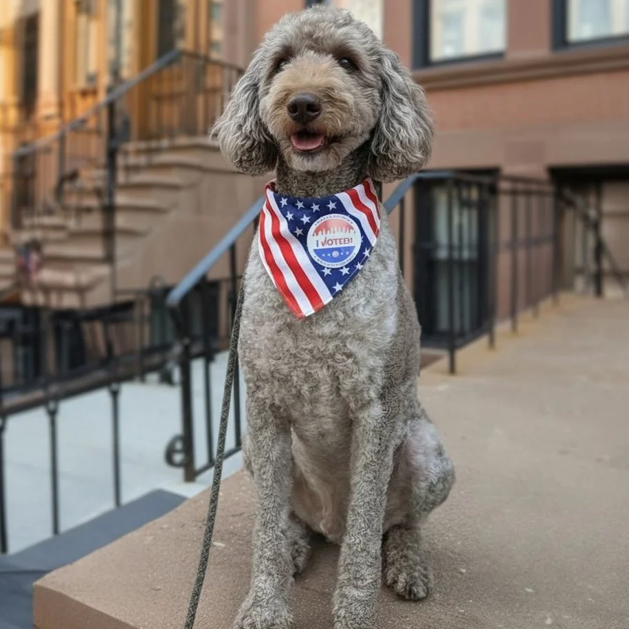 Every Vote Counts! 🇺🇸 ✨

While our pets can&rsquo;t vote, they inspire us to choose empathy, care, and community every day. Let&rsquo;s bring that same spirit to the polls today in NYC!

#ElectionDay #PetsInspireChange #nycvotes #nyc #vote #brookly