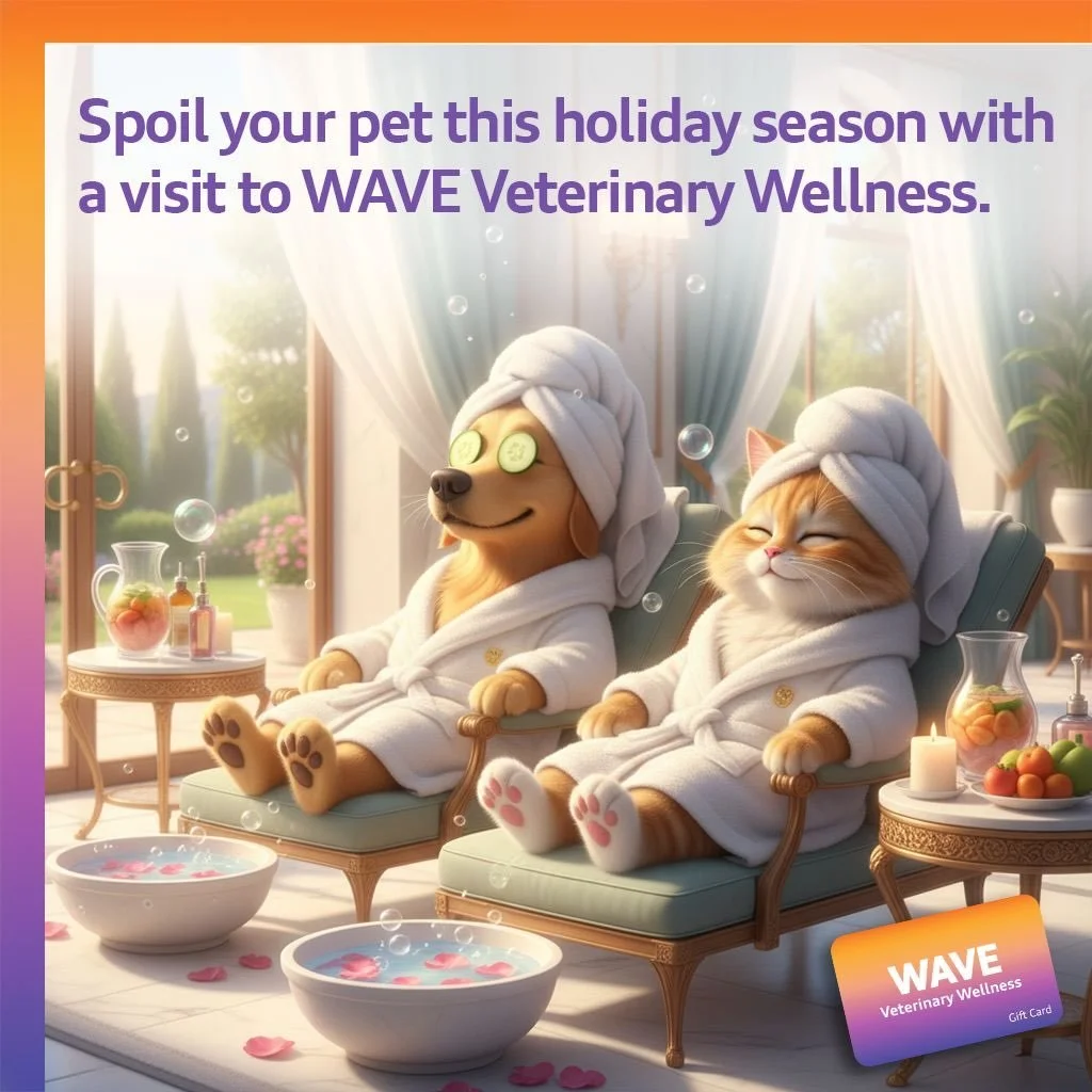Spoil your pet this holiday season with a visit to Wave Veterinary Wellness in the Hamptons! 🌊 🐶 🐱 🐾 

Did you know we offer AquaPaws Hydrotherapy, Laser, Acupuncture, Physical Therapy, Massage, Reiki and so much more for your furry friends!

🎁 