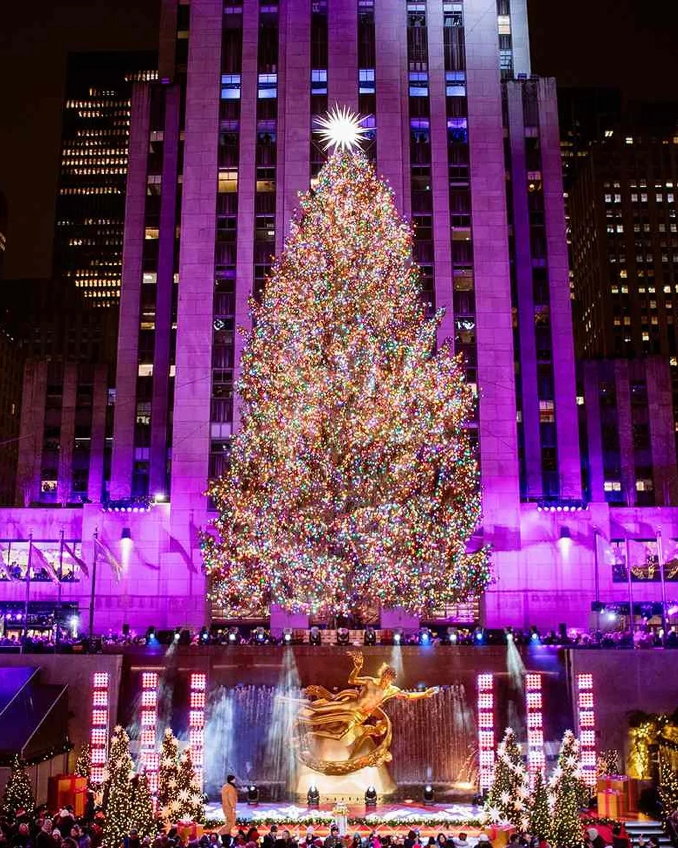 Rockefeller Center may be lighting up tonight, but let&rsquo;s make sure our pets stay safe while we enjoy the glow of our own holiday trees at home! 🎄✨ 🌃🗽 
Here are a few festive hazards to keep in mind for those furry friends who think the Chris