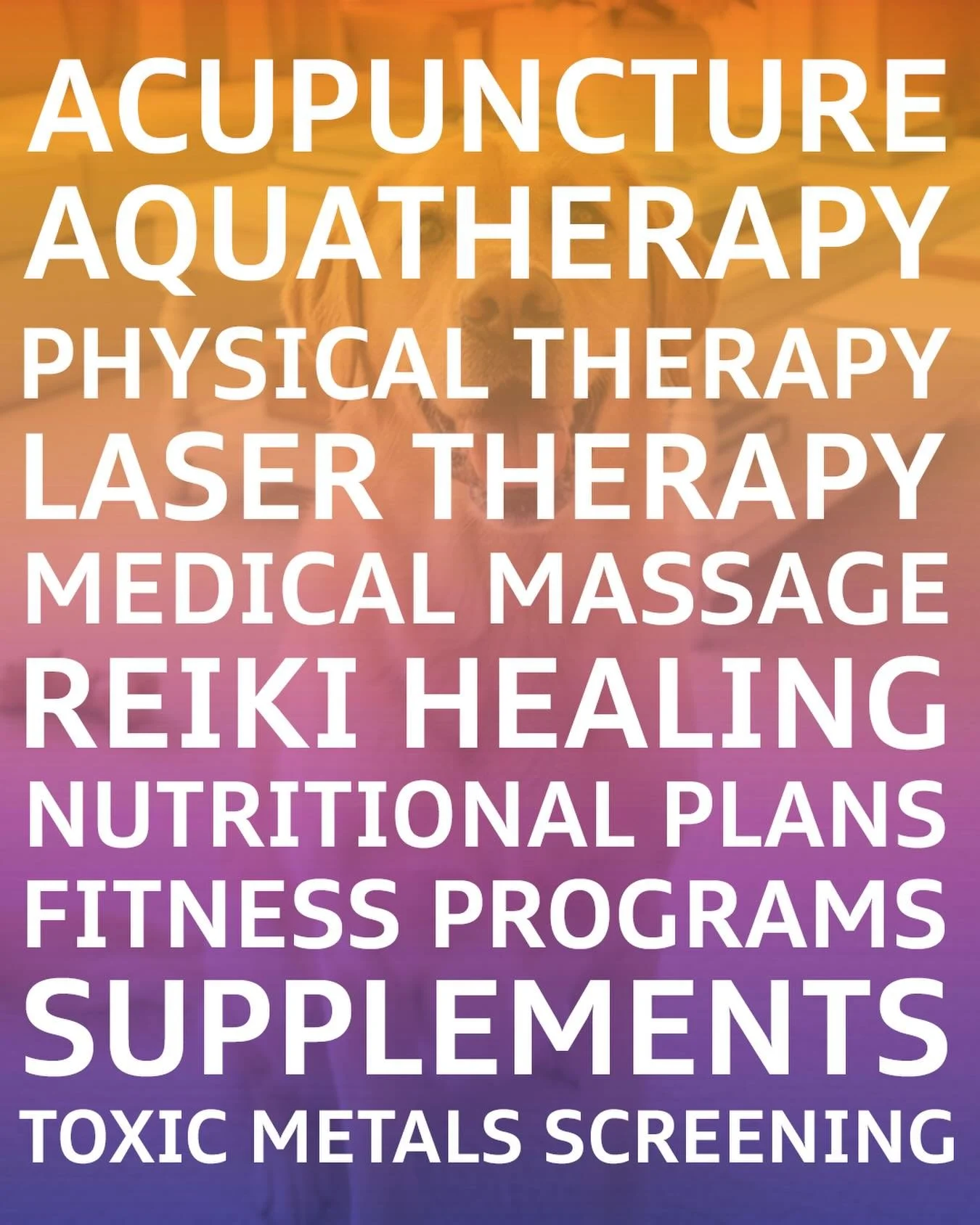 ✨ Healing, strengthening, soothing &mdash; we&rsquo;ve got your pup covered! ✨ 
Acupuncture, aquatherapy, laser therapy, massage, Reiki &amp; more&hellip; our wellness services are designed to help your dog recover faster, build strength, and melt aw