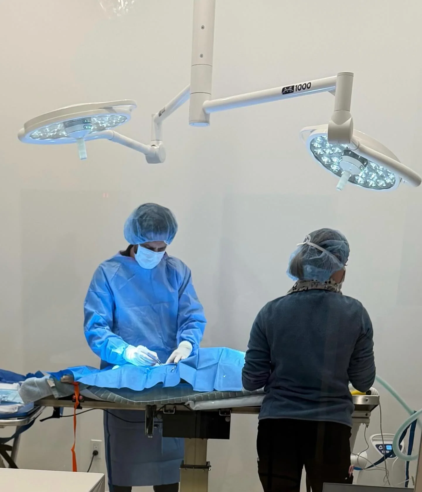 🚨 BIG WEEK AT WAVE! 🚨
Our brand-new surgery suite is officially open &mdash; and this week we performed our very first procedure! 🐶💙

A sweet young pup came in needing urgent care, and our medical team jumped into action. Swift, skilled, and comp