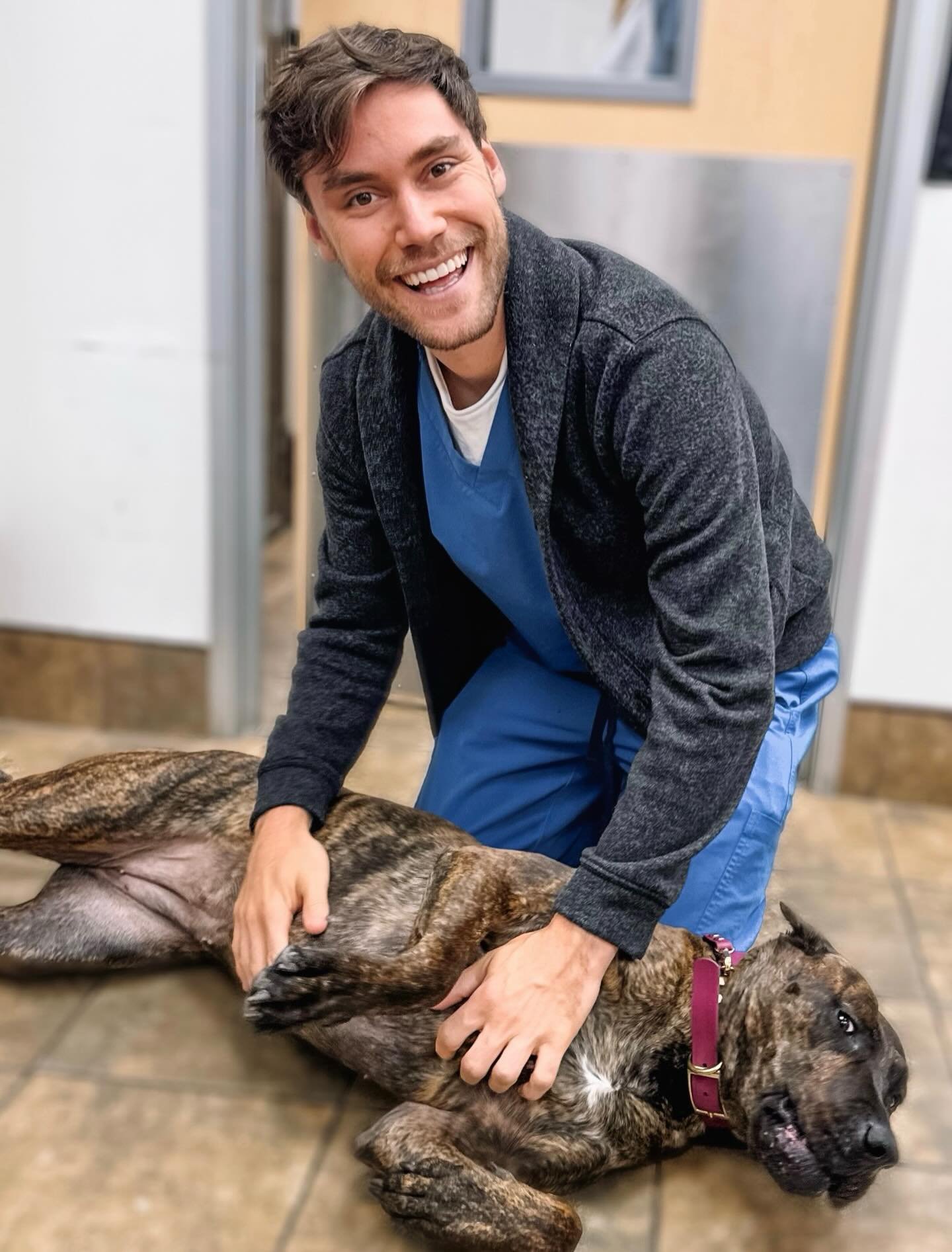 ✨ Meet Dr. Andrew Reicherter, DVM! ✨ 

Dr. Reicherter is a graduate of Tufts University School of Veterinary Medicine in 2018 and completed an internship in small animal medicine and surgery at Red Bank Veterinary Hospital in Red Bank New Jersey in 2