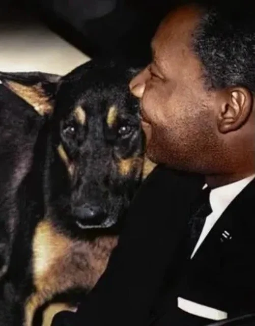 Happy Martin Luther King Jr. Day from everyone at Wave 💙💜🩷

✨ Did you know?
One of the most powerful photos of Dr. Martin Luther King Jr. shows him handcuffed in a St. Augustine police car in 1964&mdash;beside a German Shepherd meant to intimidate