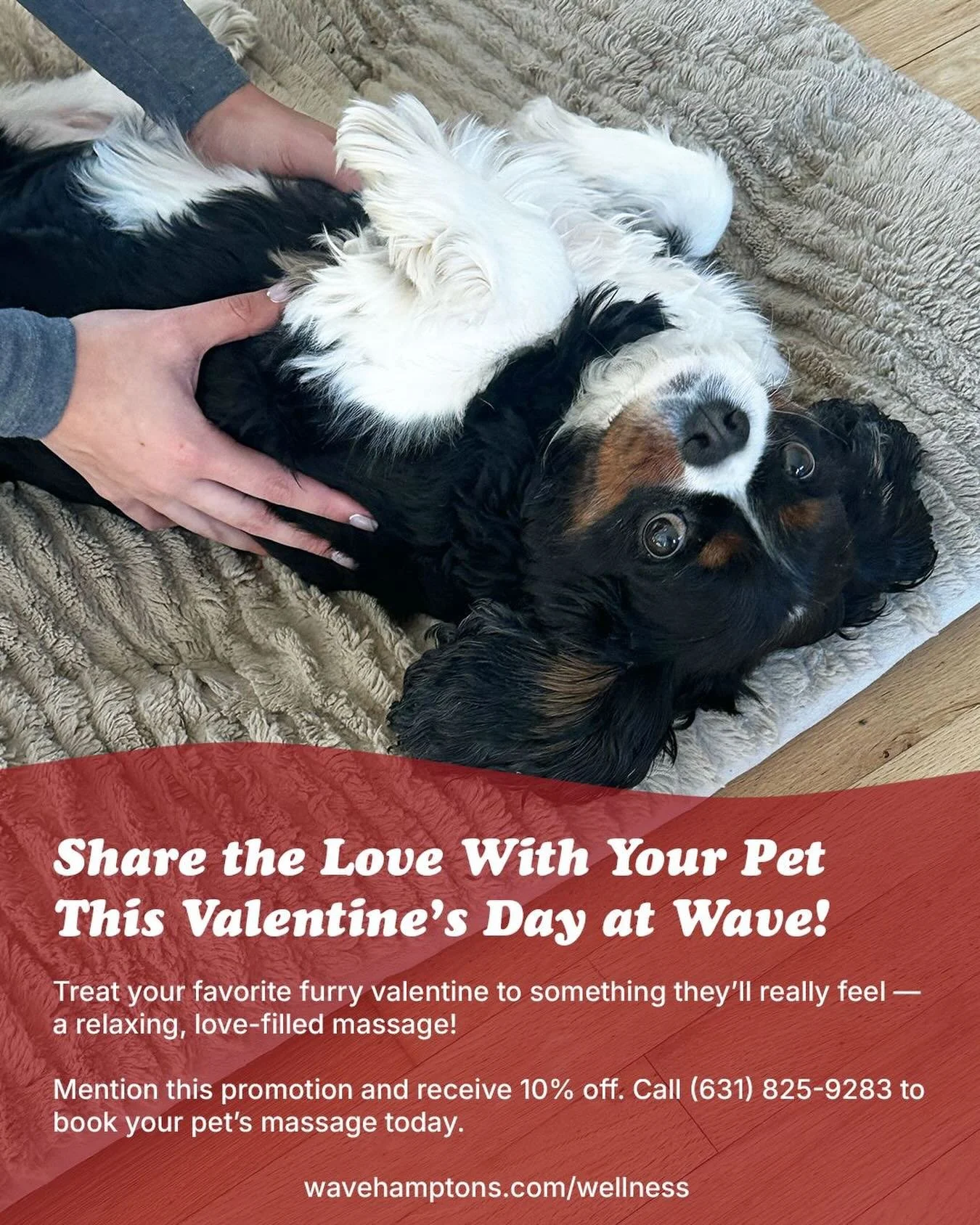 &hearts;️ This Valentine&rsquo;s Day, treat your favorite furry valentine to something they&rsquo;ll really feel &mdash; a relaxing, love-filled massage!

Enjoy 10% off a loving pet massage at Wave Wellness, because nothing says &ldquo;I adore you&rd