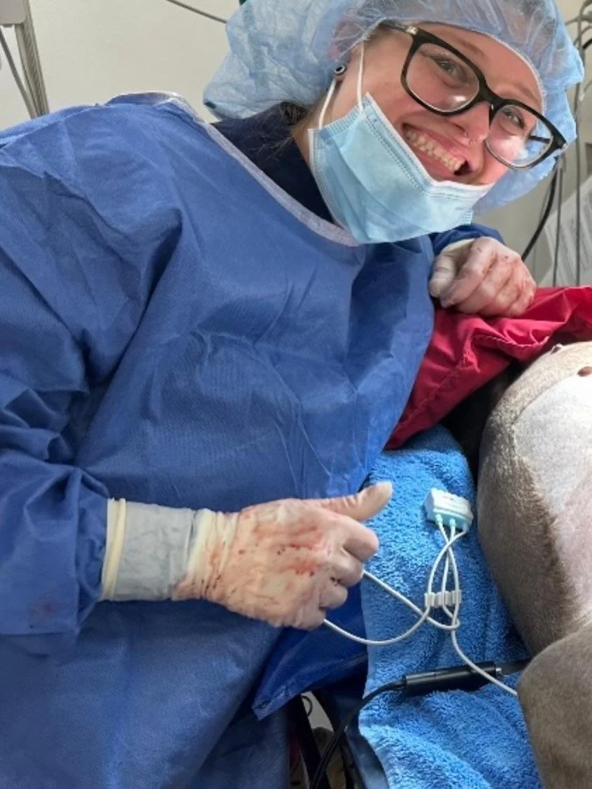 Everyone, meet Kelli Miller! 💜💙🩷🧡

Kelli&rsquo;s love for animals began at the age of four when she started competing in horse riding competitions.🐴 Her interest in veterinary medicine was piqued when her grandmother began fostering animals (47 