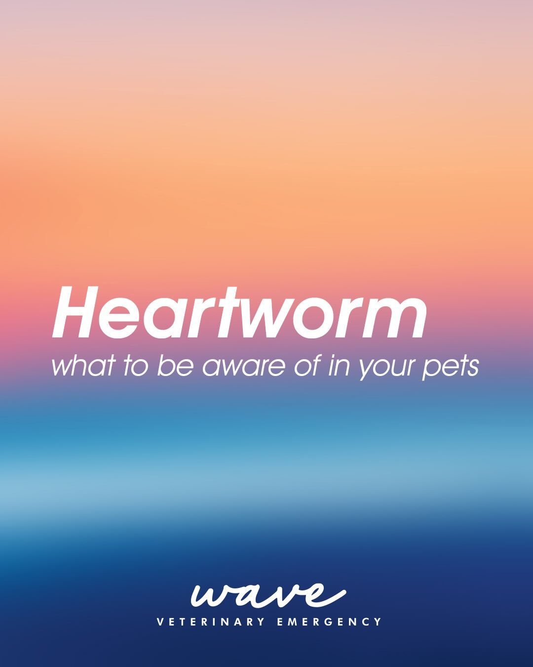🫀 What you can&rsquo;t see can still hurt them.

Heartworm disease often starts silently. No warning. No symptoms. Just tiny parasites carried by a mosquito bite&hellip; making their way to your pet&rsquo;s heart and lungs.

As the disease progresse