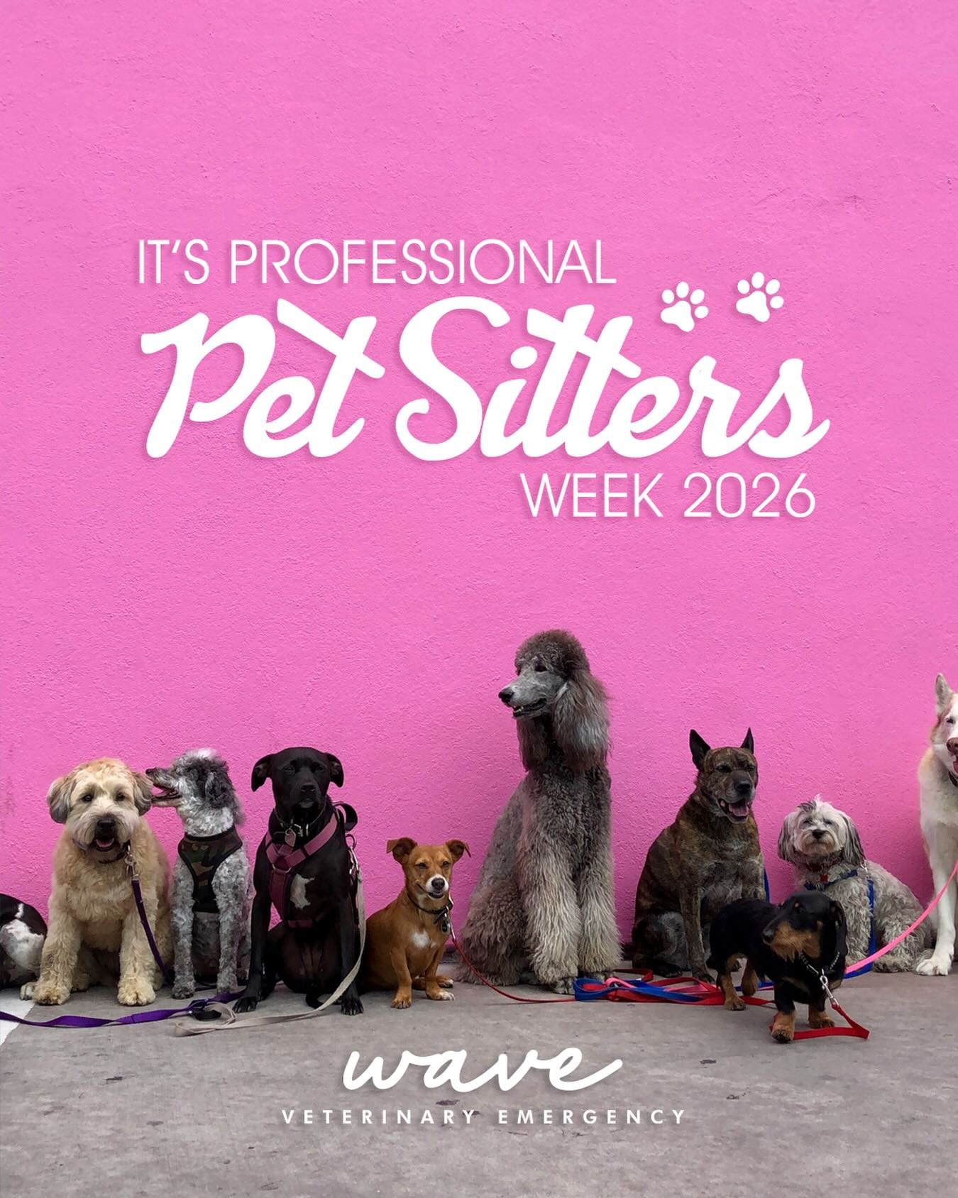🐾 It&rsquo;s Professional Pet Sitters Week! 🐾

This week we&rsquo;re celebrating the incredible pet sitters who help keep our pets safe, happy, and loved when we can&rsquo;t be there. From midday walks while you&rsquo;re at work to overnight care w