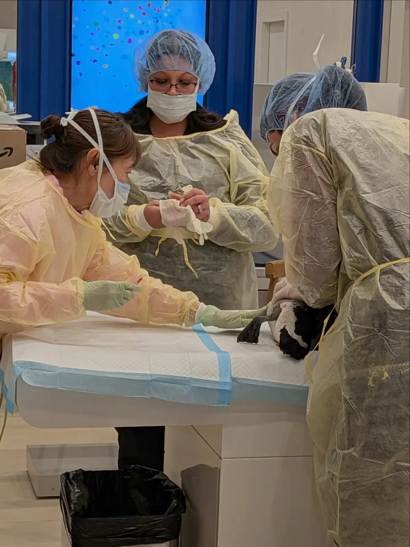 📸 A little peek behind the curtain at the team in action and our treatment area at Wave! 💙💜🩷🧡