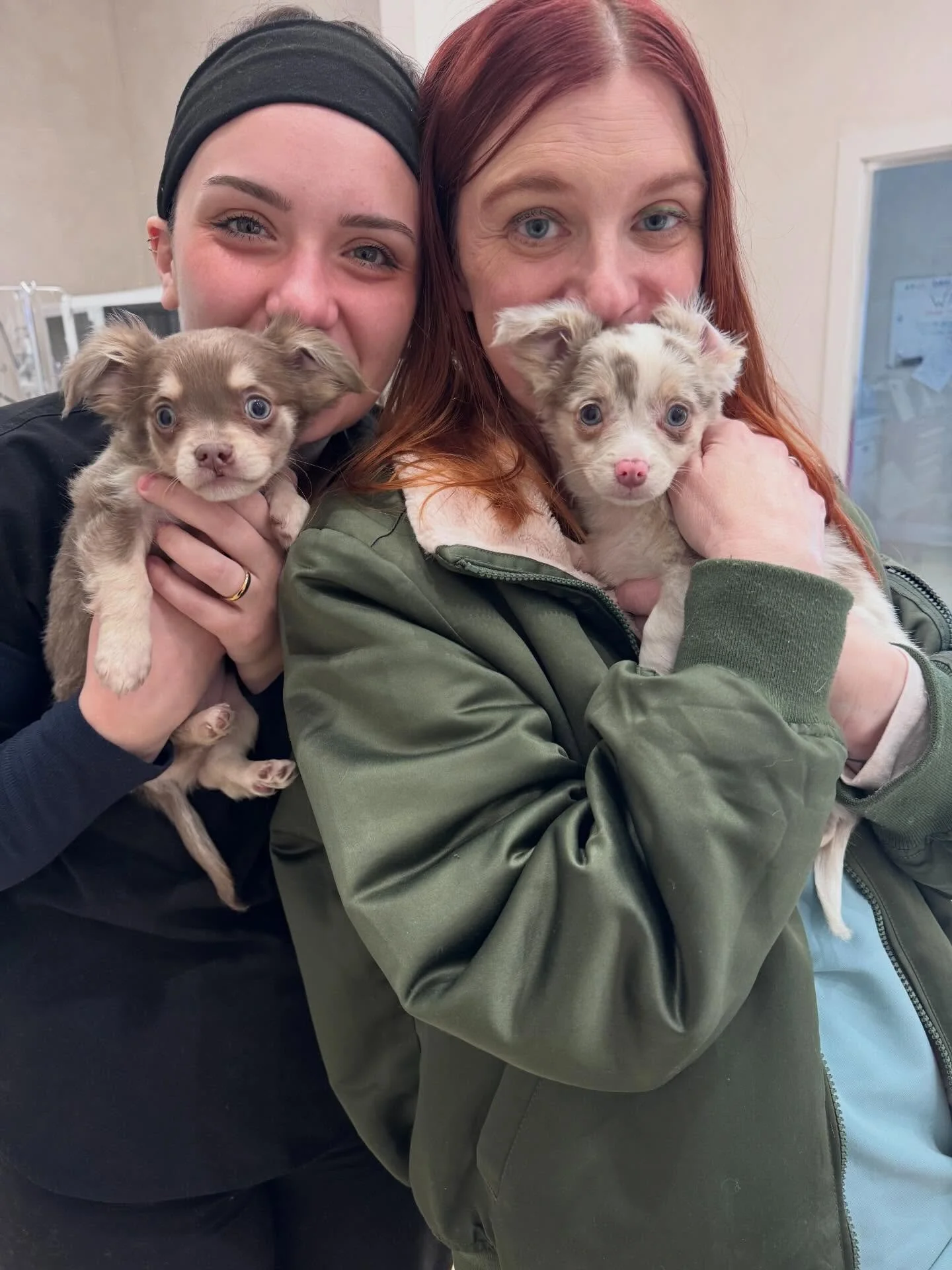 We got a special visit from two cuties today at Wave! 🐾💙💜🩷🧡