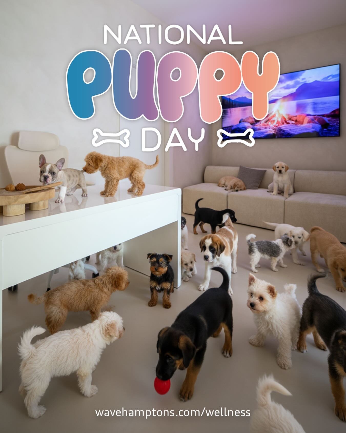 Happy National Puppy Day! 🐾💛

Today we&rsquo;re celebrating puppies everywhere for the unconditional love, endless joy, and tail wags they bring into our lives. In honor of National Puppy Day&mdash;founded in 2006 by pet lifestyle expert Colleen Pa