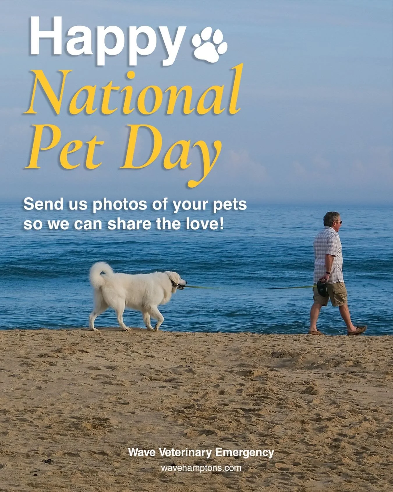 Golden sunshine, salty air, and wagging tails&hellip; it doesn&rsquo;t get better than this in the Hamptons ☀️🐾

Happy National Pet Day (April 11)! Today we celebrate the unconditional love, loyalty, and joy our pets bring into our lives every singl