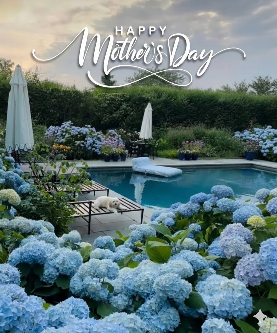 Whether you&rsquo;re a mother to your children or to your fur babies, we hope you had a wonderful and happy Mother&rsquo;s Day! 🐾 💜💙🩷❤️🧡💛