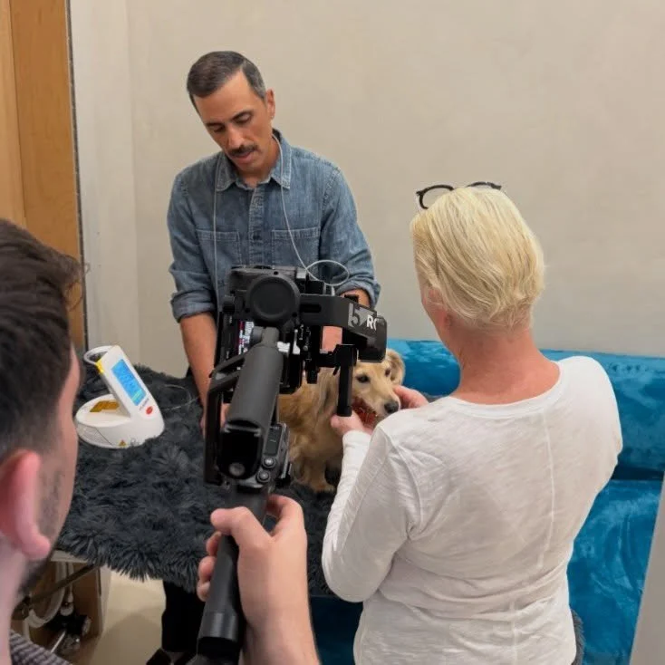BTS today at Wave with Dr. Chiros working his veterinary wellness magic! ✨ 🪄