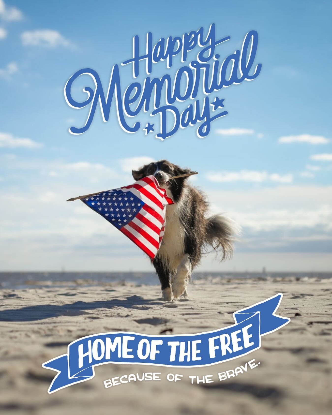 We remember and honor all men and women who have fought for our country. Happy Memorial Day! 🇺🇸 🐾