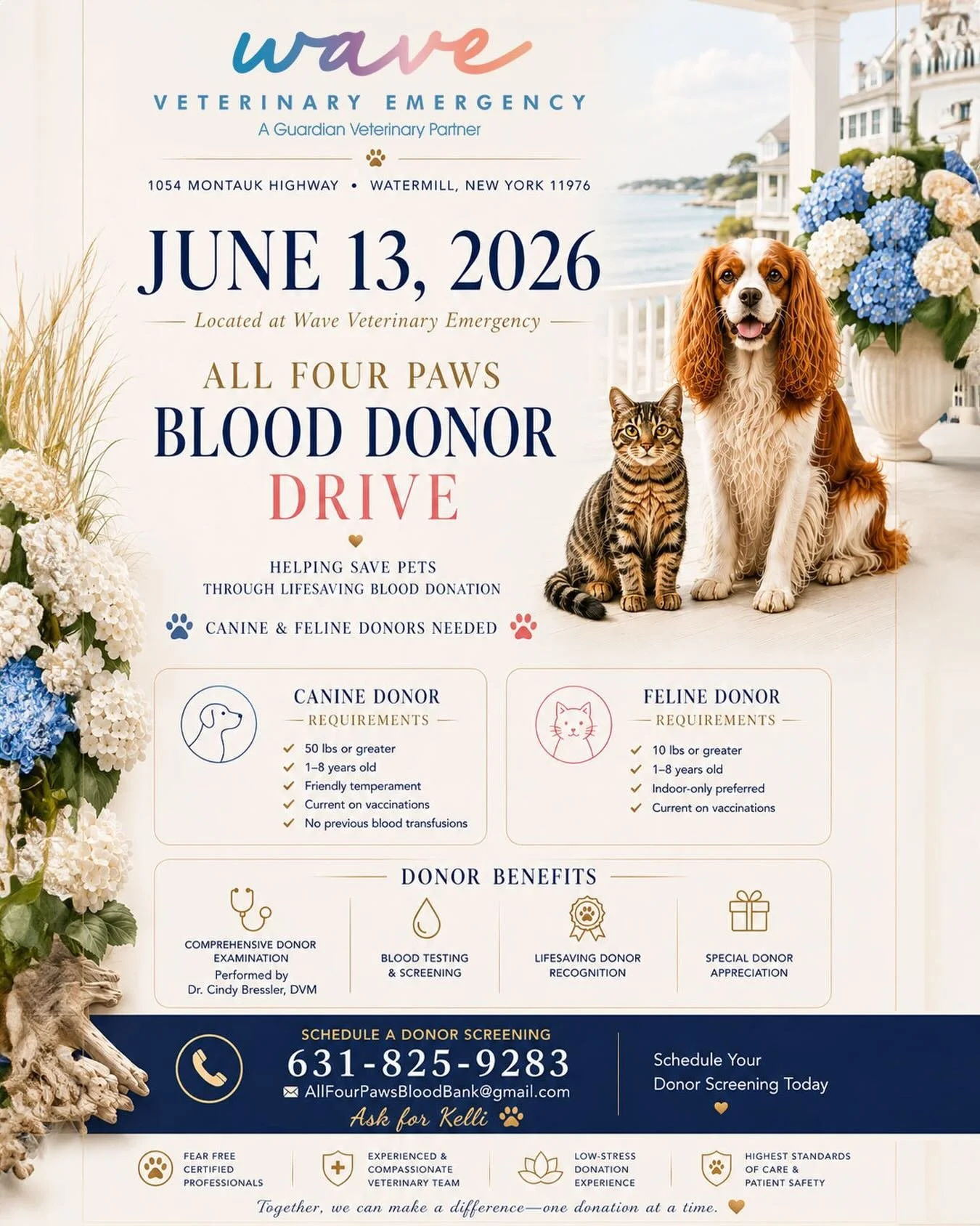 This Saturday at Wave, join us for the All Four Paws Blood Donor Drive! 💙 If you&rsquo;re an interested pet parent and would like your dog or cat to donate, give us a call at 631-825-9283 and be sure to ask for Kelli. 🐾 🐶 🐱