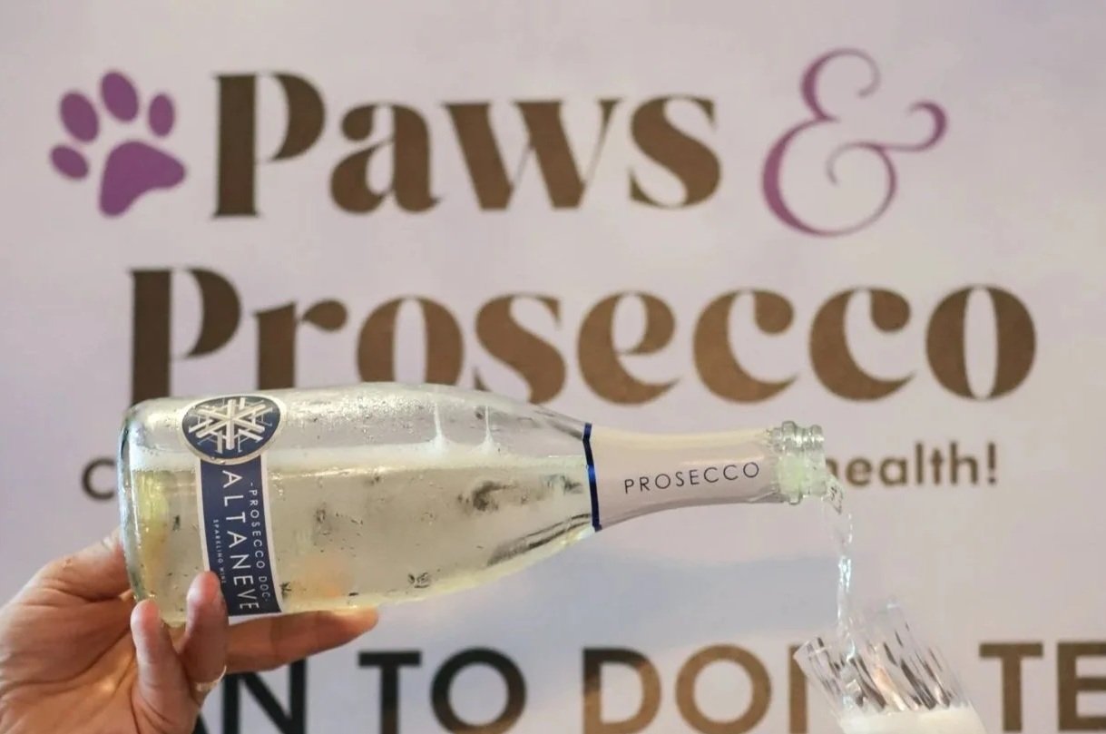 Paws &amp; Prosecco • Pet Wellness takes on the Hamptons