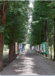 Arlington SETCOM Chair visits Setagaya