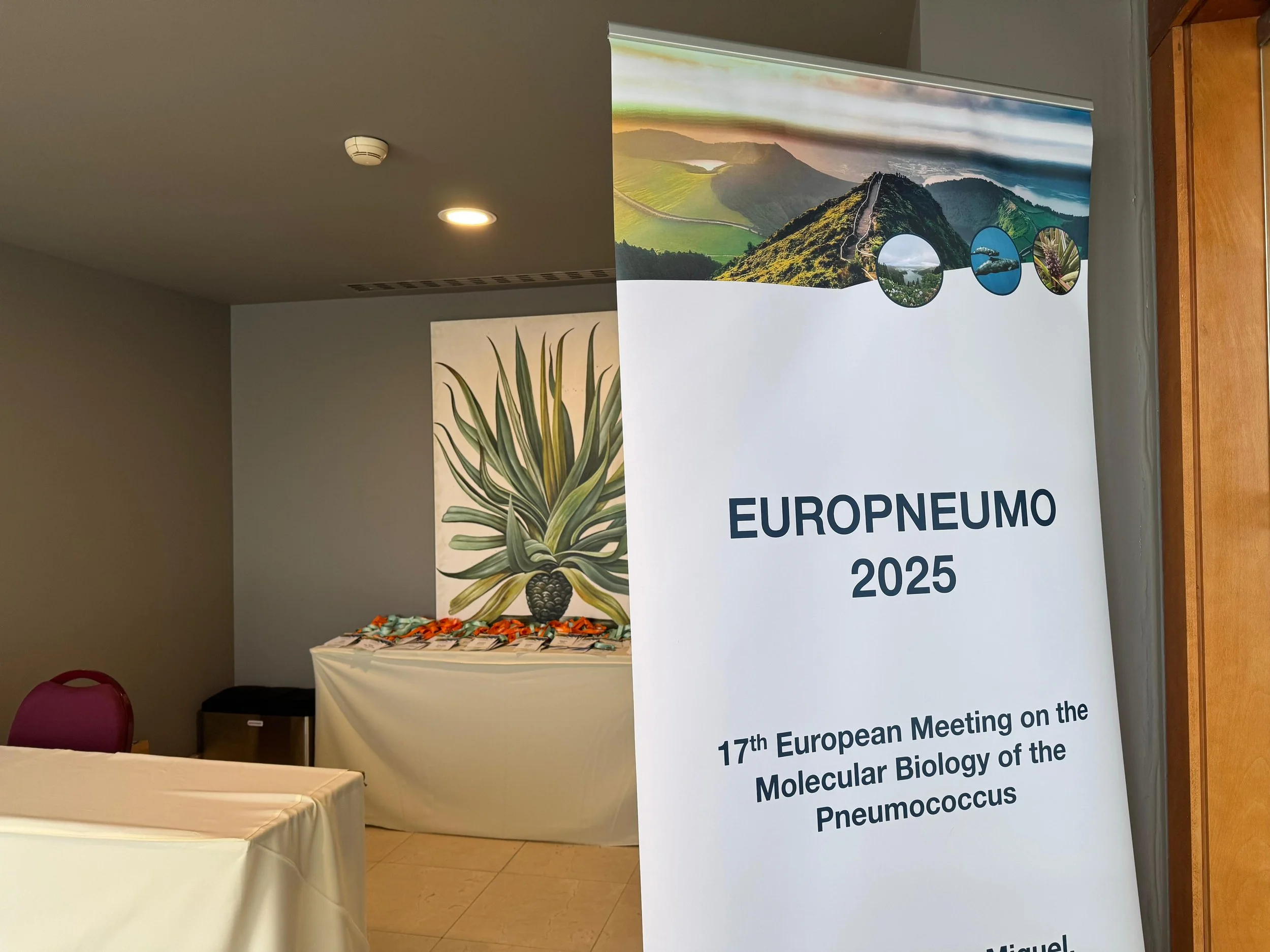 WhatsApp Image 2025-05-19 at 17.13.28 (5).jpeg