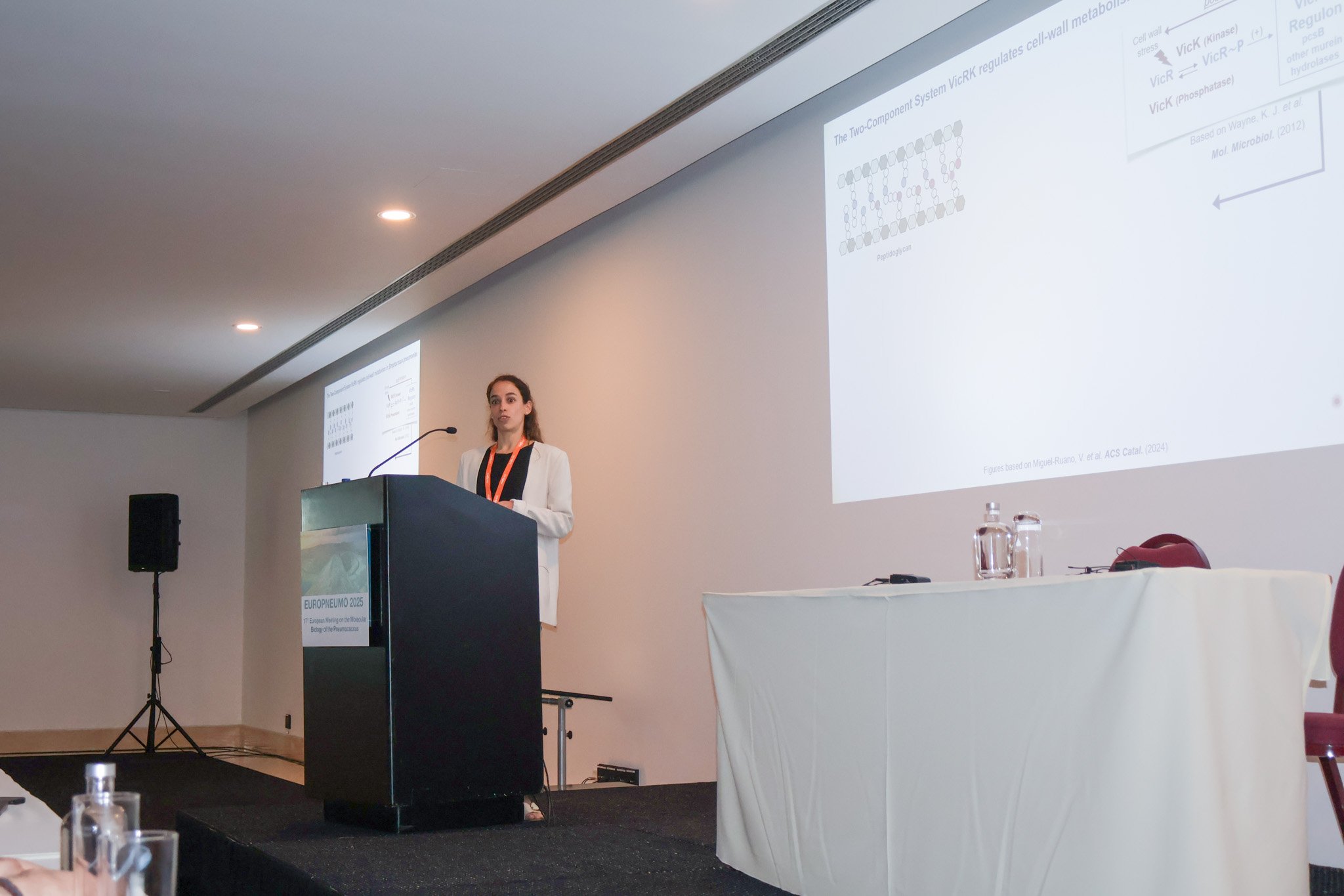 IMG_1433.jpg
