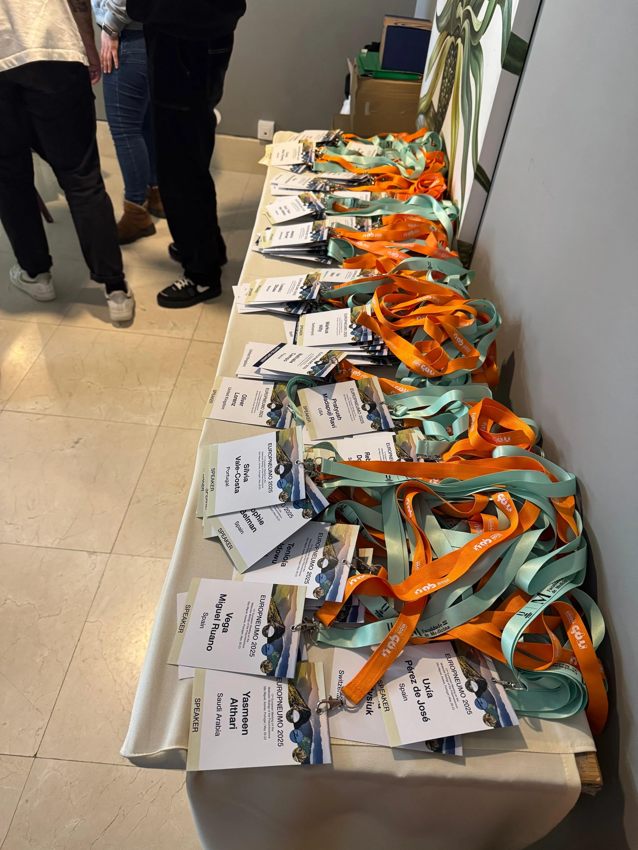 WhatsApp Image 2025-05-19 at 17.13.27.jpeg