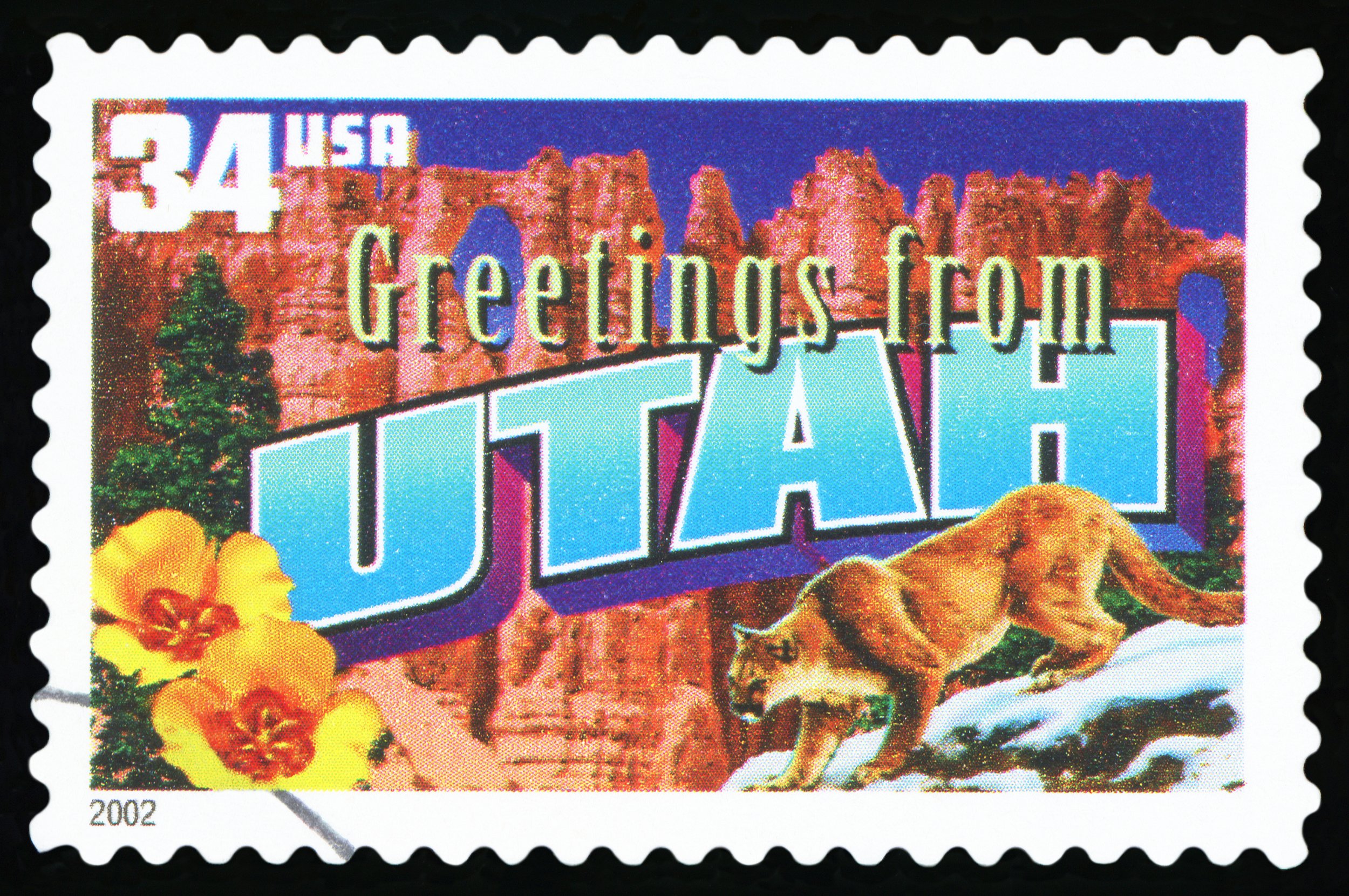 Fatal Head-On Collision on I-15 Claims Life of Christopher Suiter