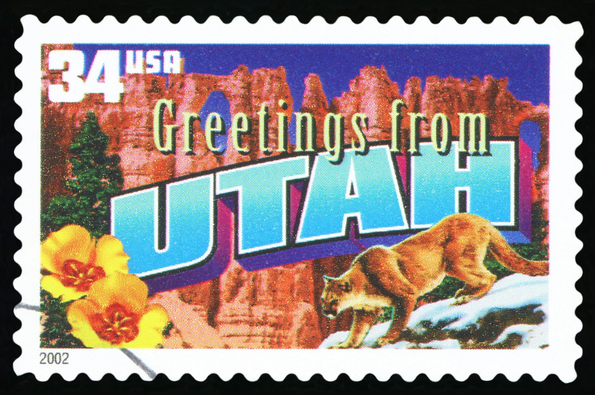 Jayden Rich Critically Injured in Bountiful Motorcycle Crash