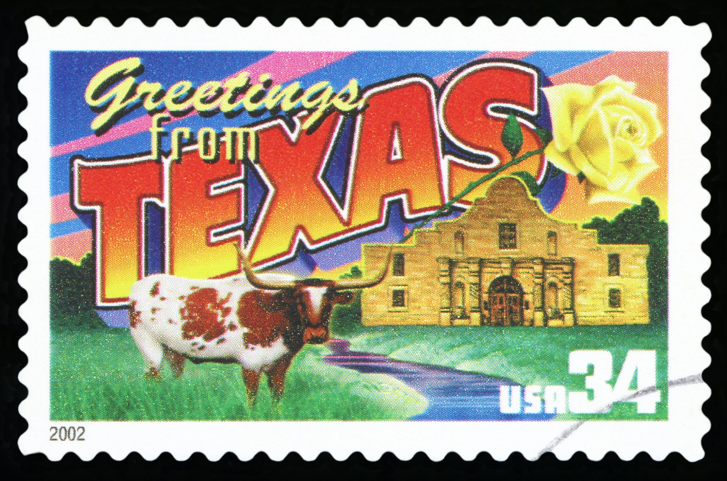 Ramona Pavlas Dies in Auto-Pedestrian Accident in Taylor, Texas