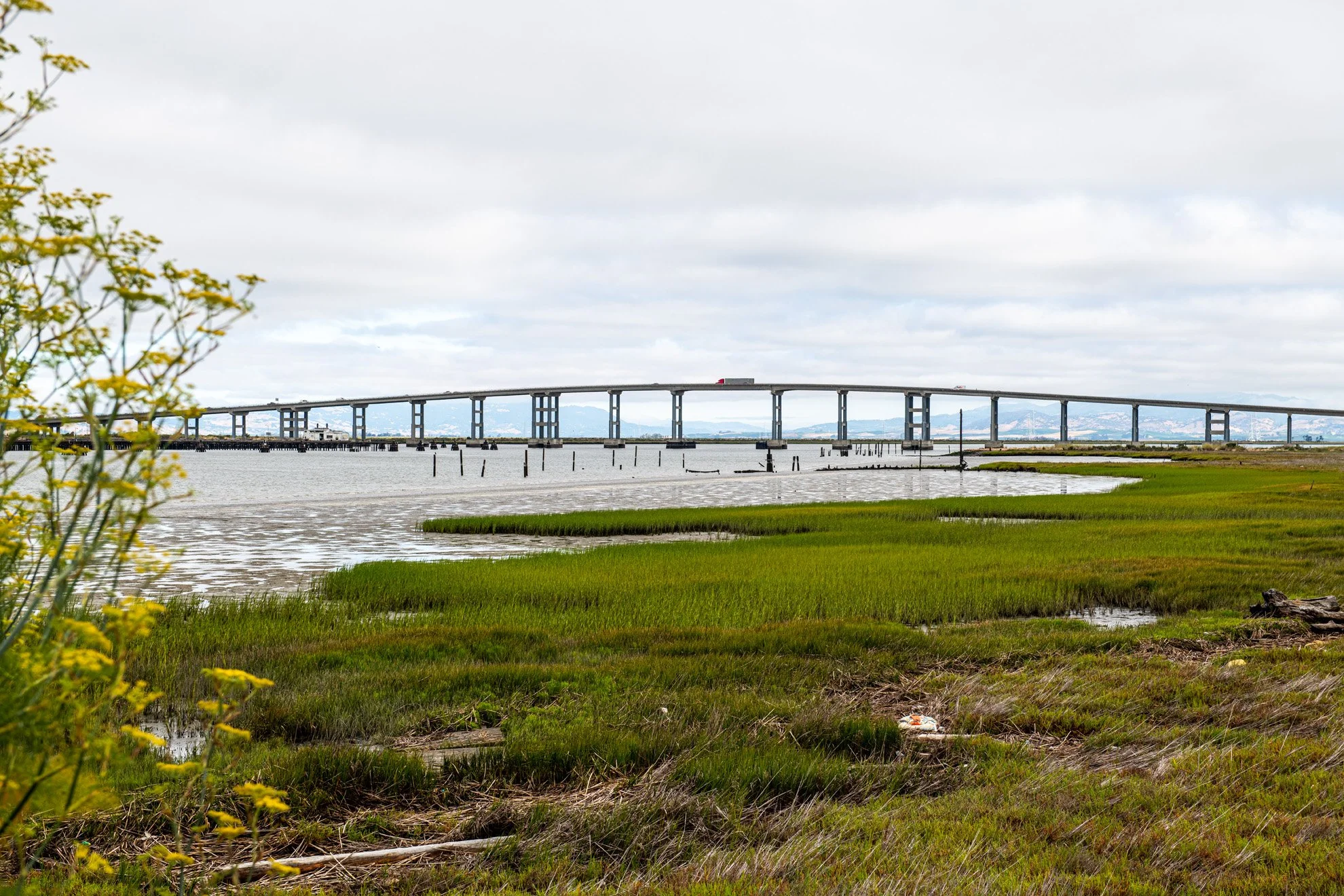 August, 2024 - Community Message