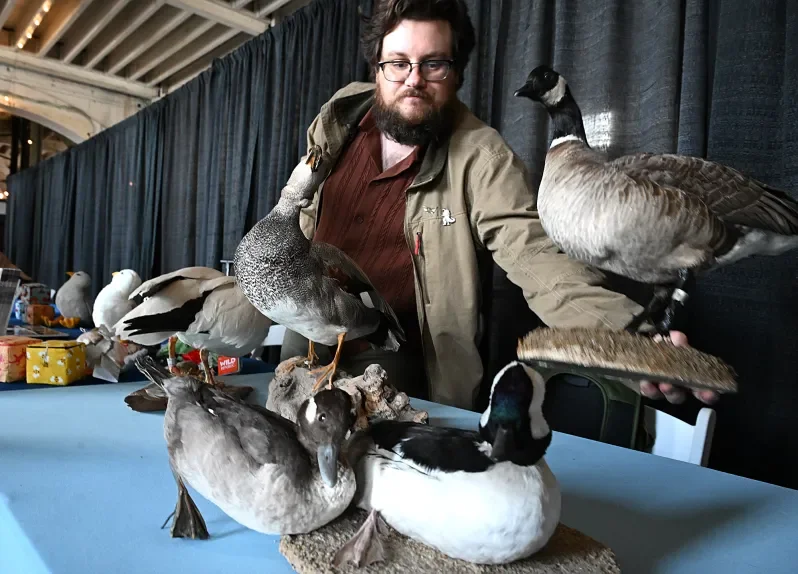 Winged Migration Expo soars into Mare Island