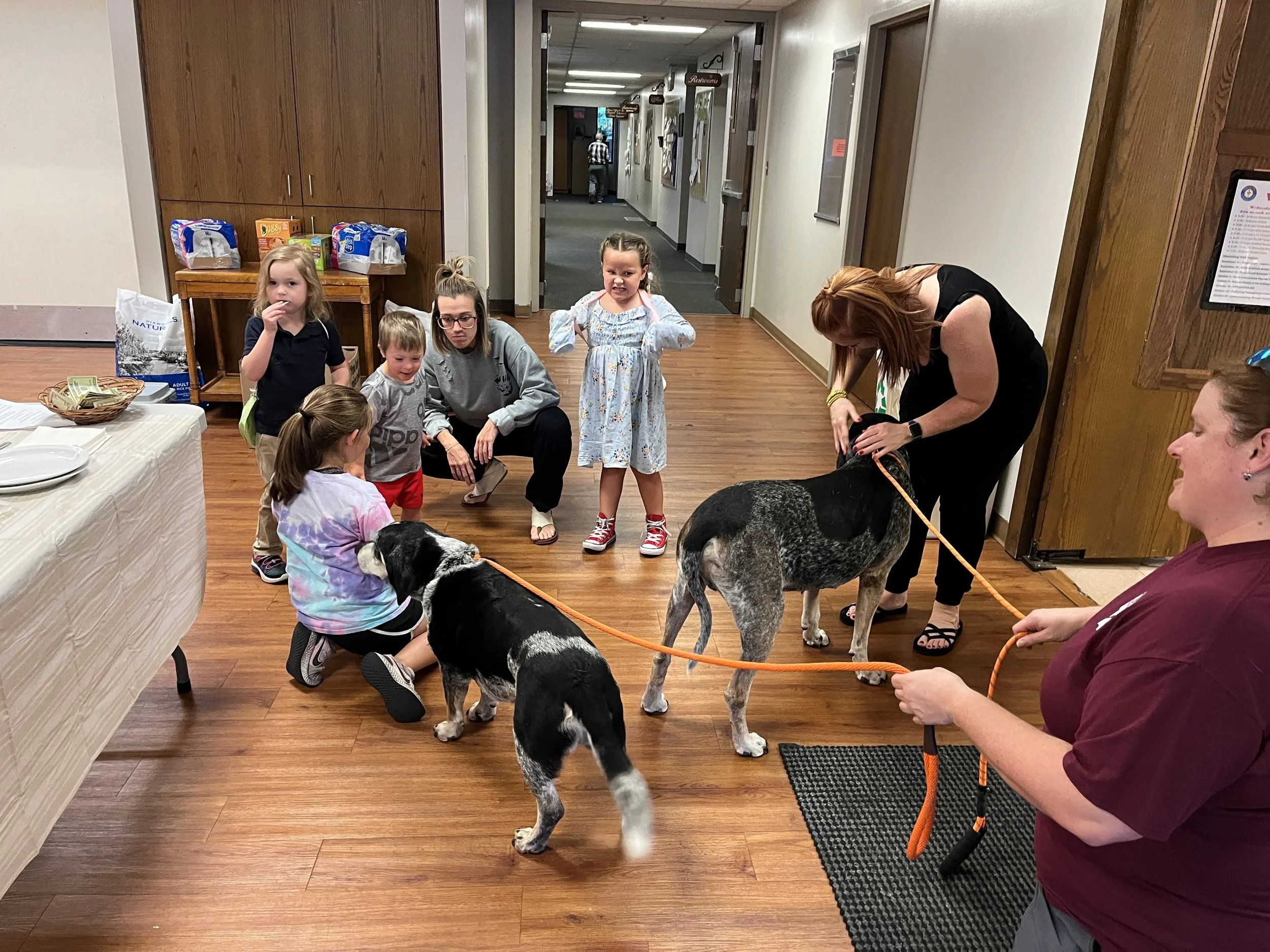HAS dog class.jpg