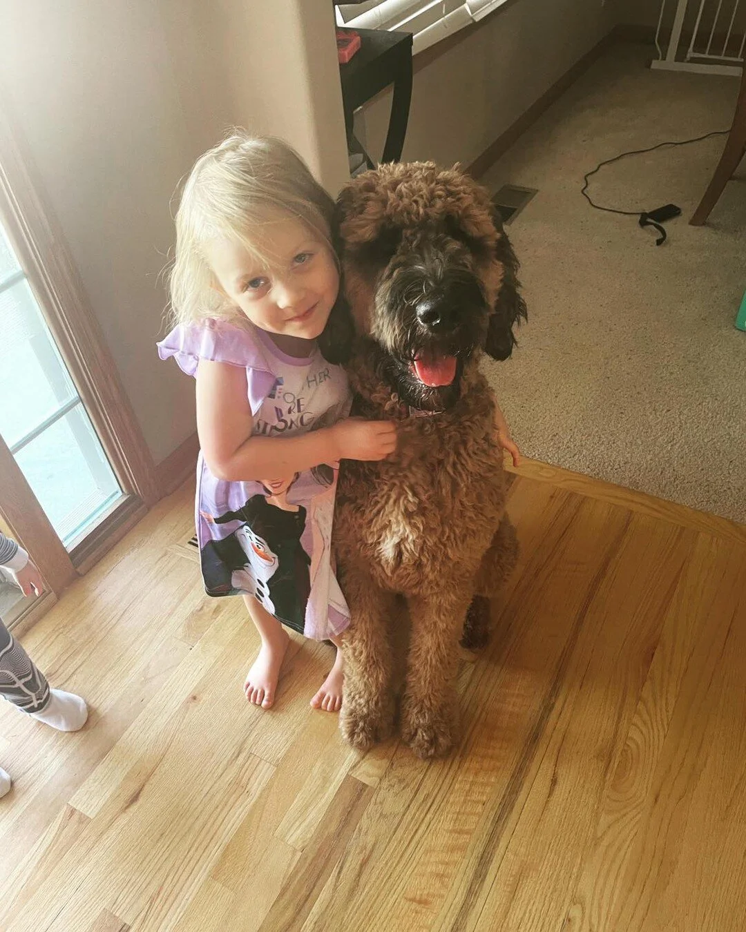 Omaha family dog breeder reviews — Midwest Puppy