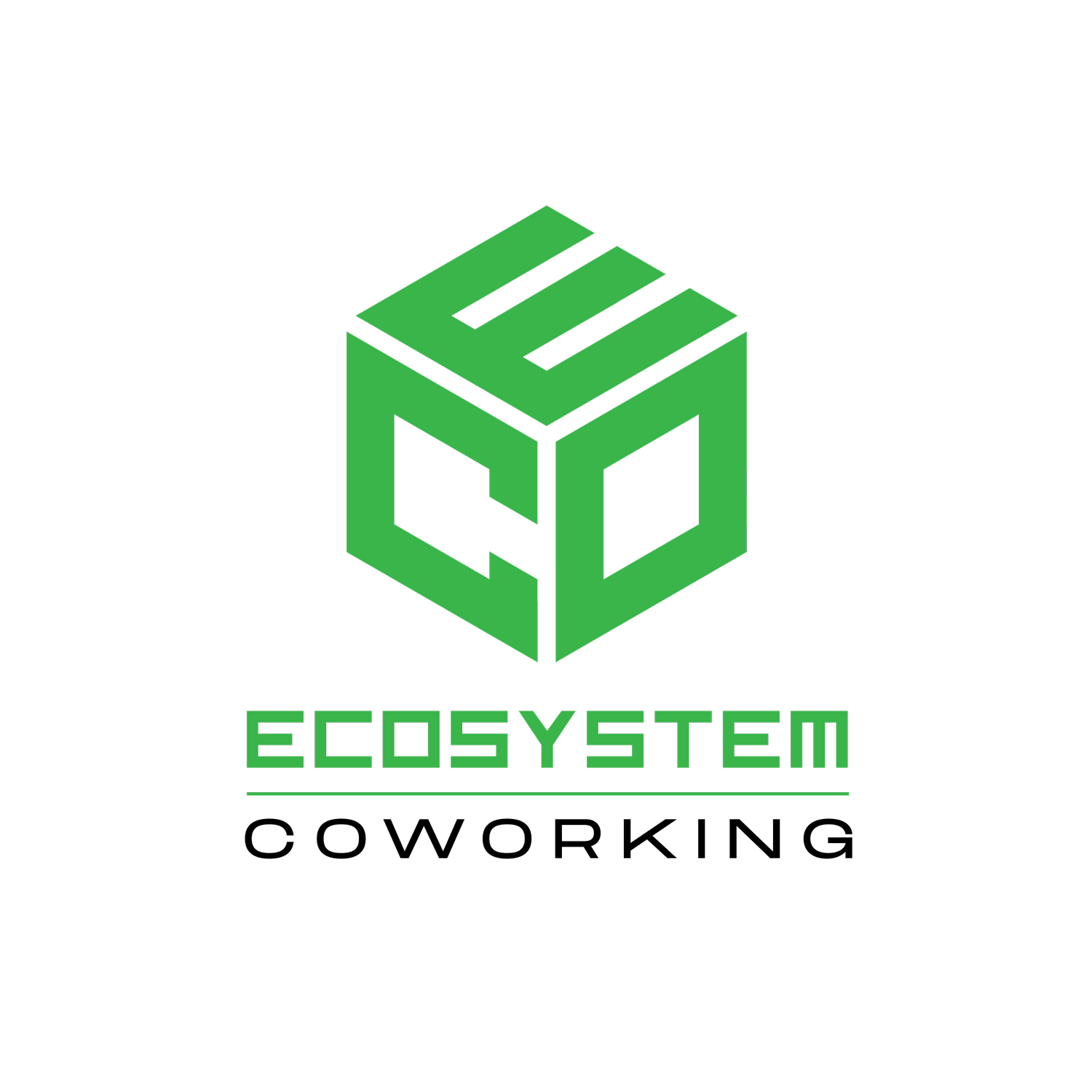 Eco-Systm.com