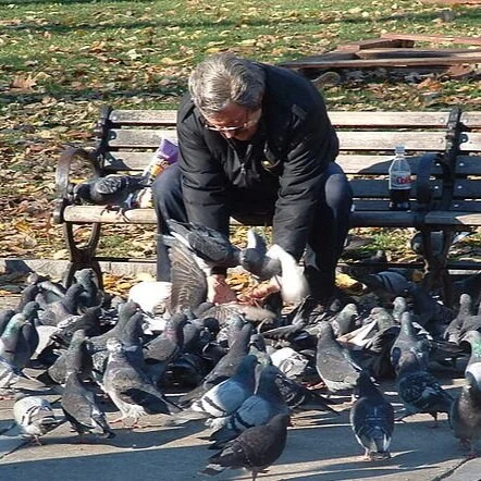 LARGfeed + Icarus Expansion